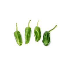Tatlı Padron Biber (Sweet Padron Pepper)