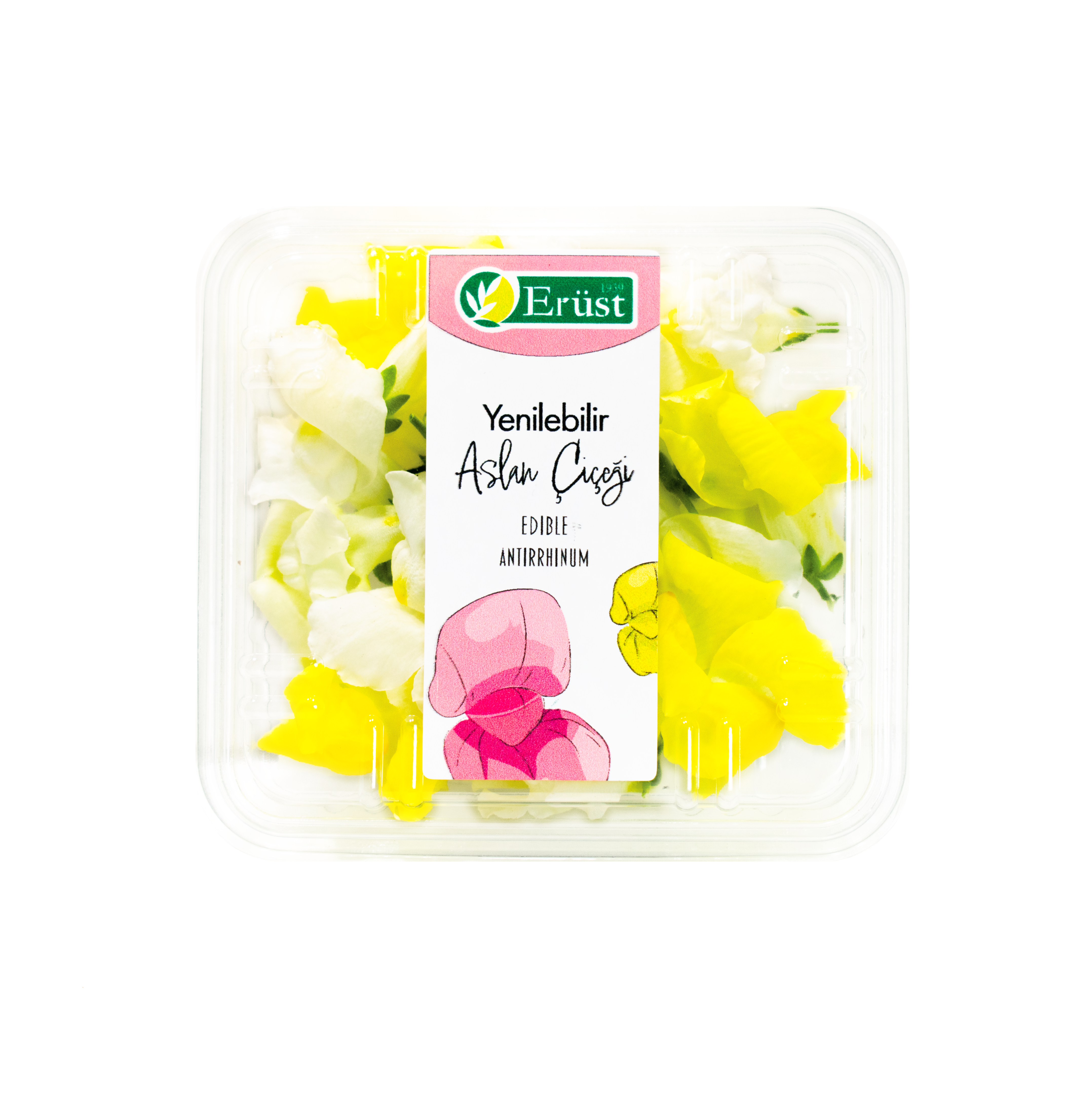 Aslanağzı Çiçeği (Antirrhinum)
