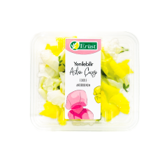 Aslanağzı Çiçeği (Antirrhinum)