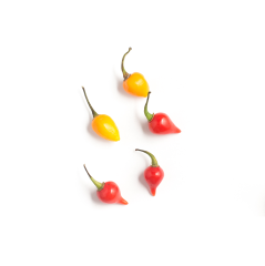 Acı Su Damlası Biber (Hot Biquinho Pepper)