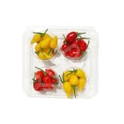 Acı Su Damlası Biber (Hot Biquinho Pepper)