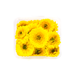 Suzi Çiçeği (Calendula)