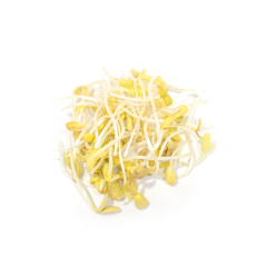 Ayçiçeği Sebze Filizi (Sunflower Sprouts)