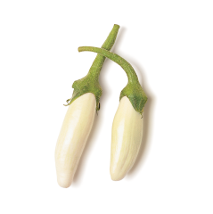 Beyaz Mini Patlıcan (Baby White Eggplant)