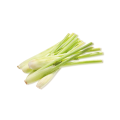 Mini Fençel (Baby Fennel)