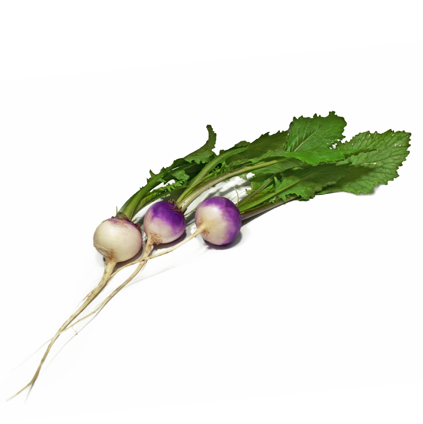 Mini Şalgam (Baby Turnip)