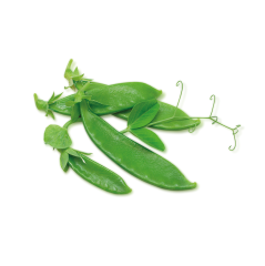 Sultaniye Bezelye (Snow Pea)