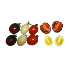 Renkli Kokteyl Domates (Rainbow Cocktail Tomatoes)