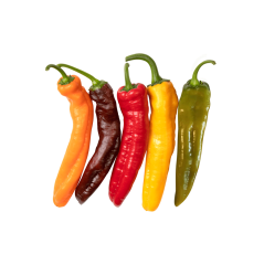 Şeker Biber (Sweet Pepper)