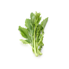 Cima (Cima)