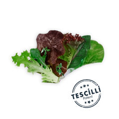 Kekik Salata (Thyme Salad)