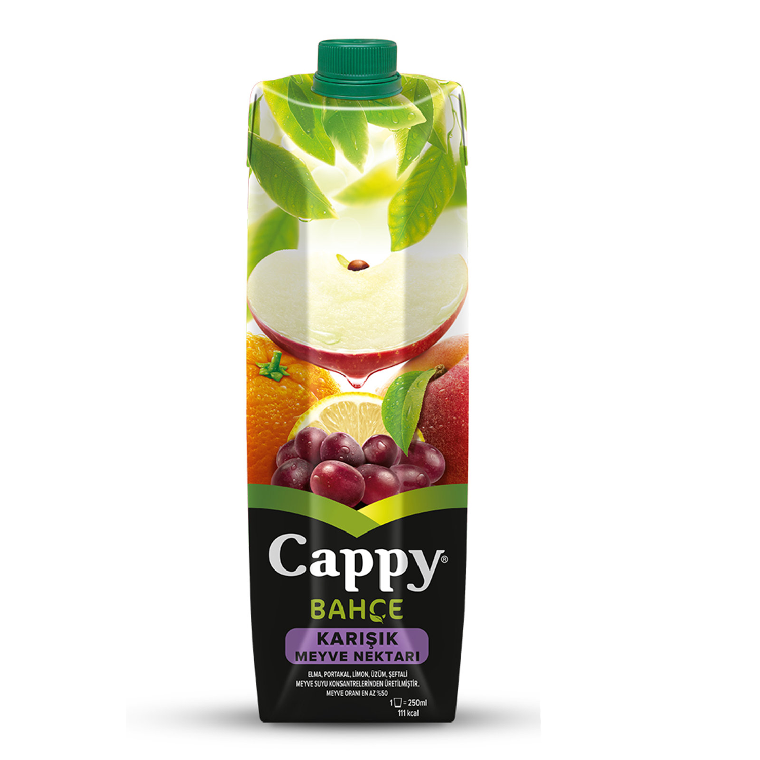 Cappy Karışık Meyve Suyu 1 LT