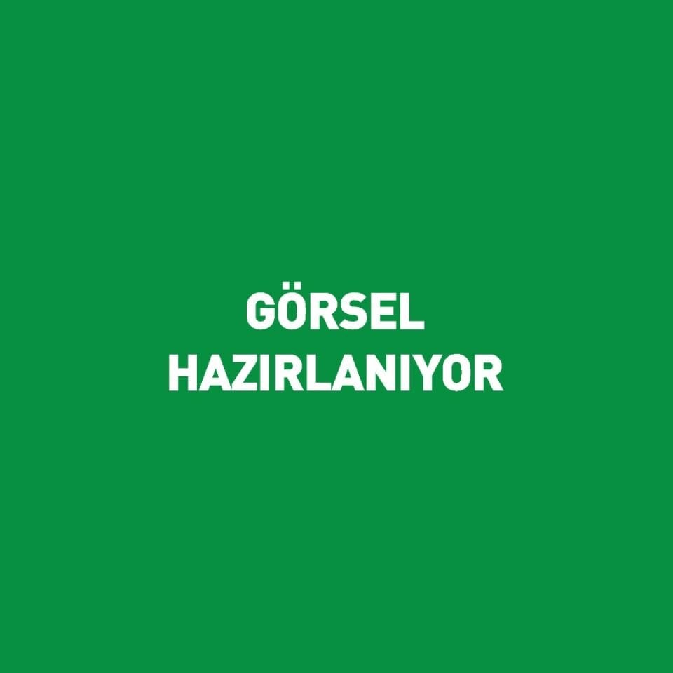 Avoya Meyveli Çilek&Gül Maden Suyu 200 ml