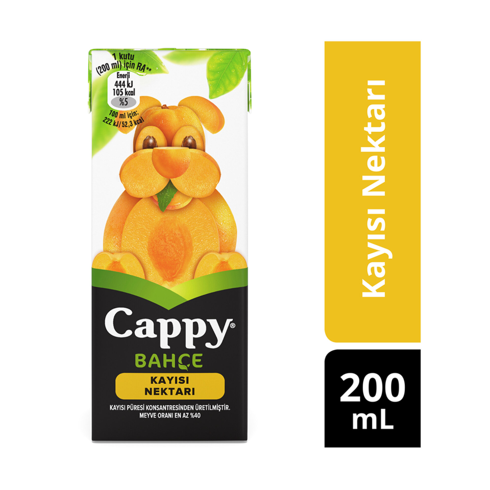 Cappy Kayısı Meyve Suyu 200 ML