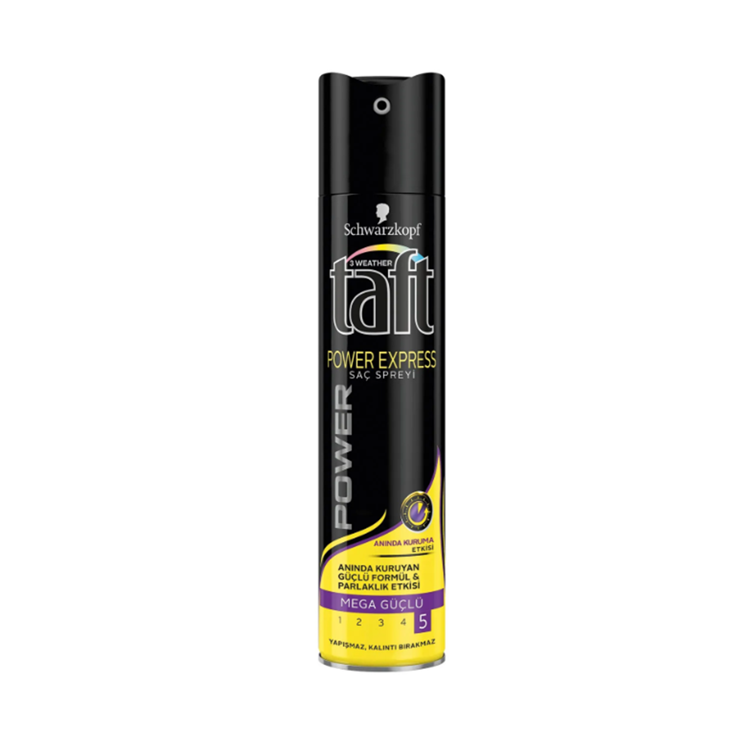 Taft Saç Sprey 250 ML Power Express