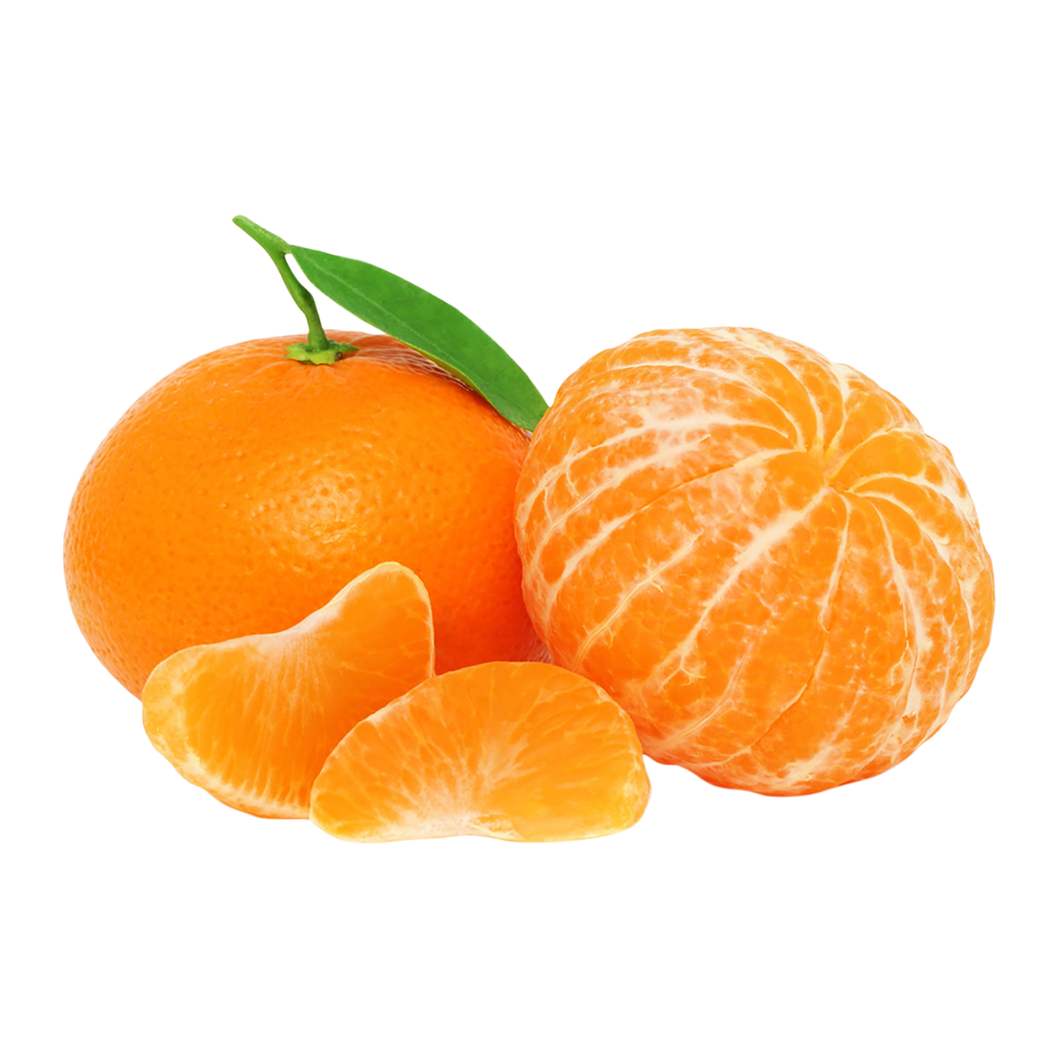 Ç-Mandalina Rize Kg