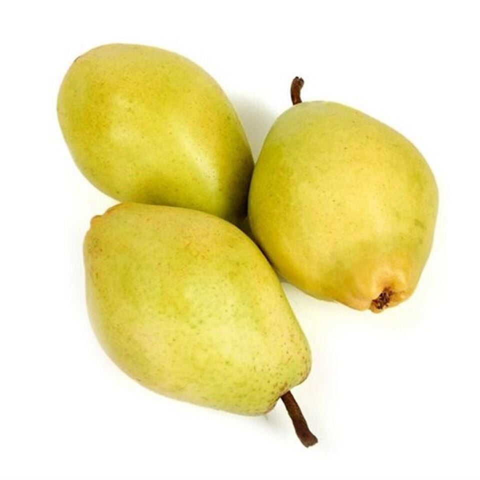 Ç-Armut KG