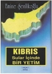 Kıbrıs Sular İçinde Bir Yetim  Emine Şenlikoğlu Mektup Yayınları