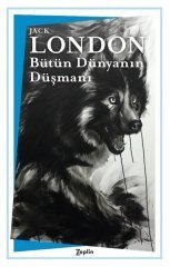 Bütün Dünyanın Düşmanı Zeplin Kitap