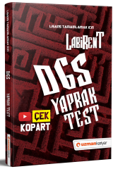 2021 DGS Labirent Yaprak Test Çek Kopart Uzman Kariyer Yayınları