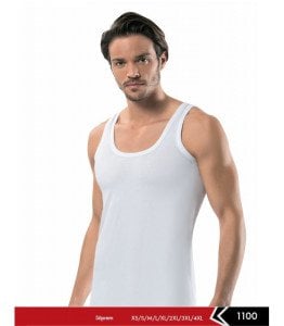 ERDEM 1100