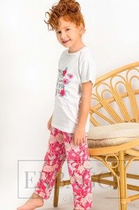 ARNETTA 823-2