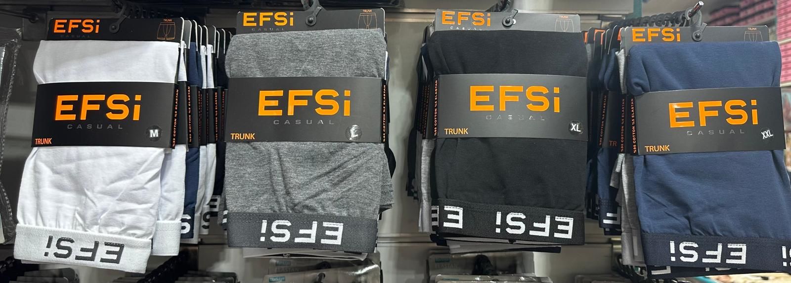 Efsi 4001 Boxer