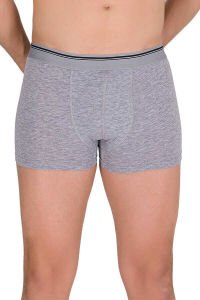 Berrak 1097 Boxer