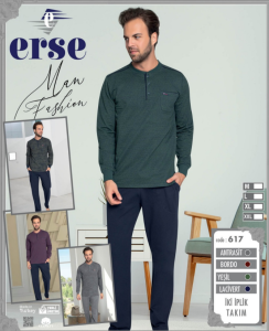 ERSE 617
