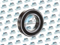 SKF 6006 2RS 052109119 SKF RULMAN