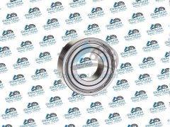 ORS 6003 ZZ 804243 ORS RULMAN