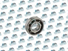 ORS 620601  ORS RULMAN