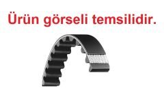 BANDO 17*0875 B  TIRTIRLI V KAYIŞ BANDO