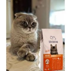 Teodor Adult Gurme Yetişkin Kedi Maması 15 Kg