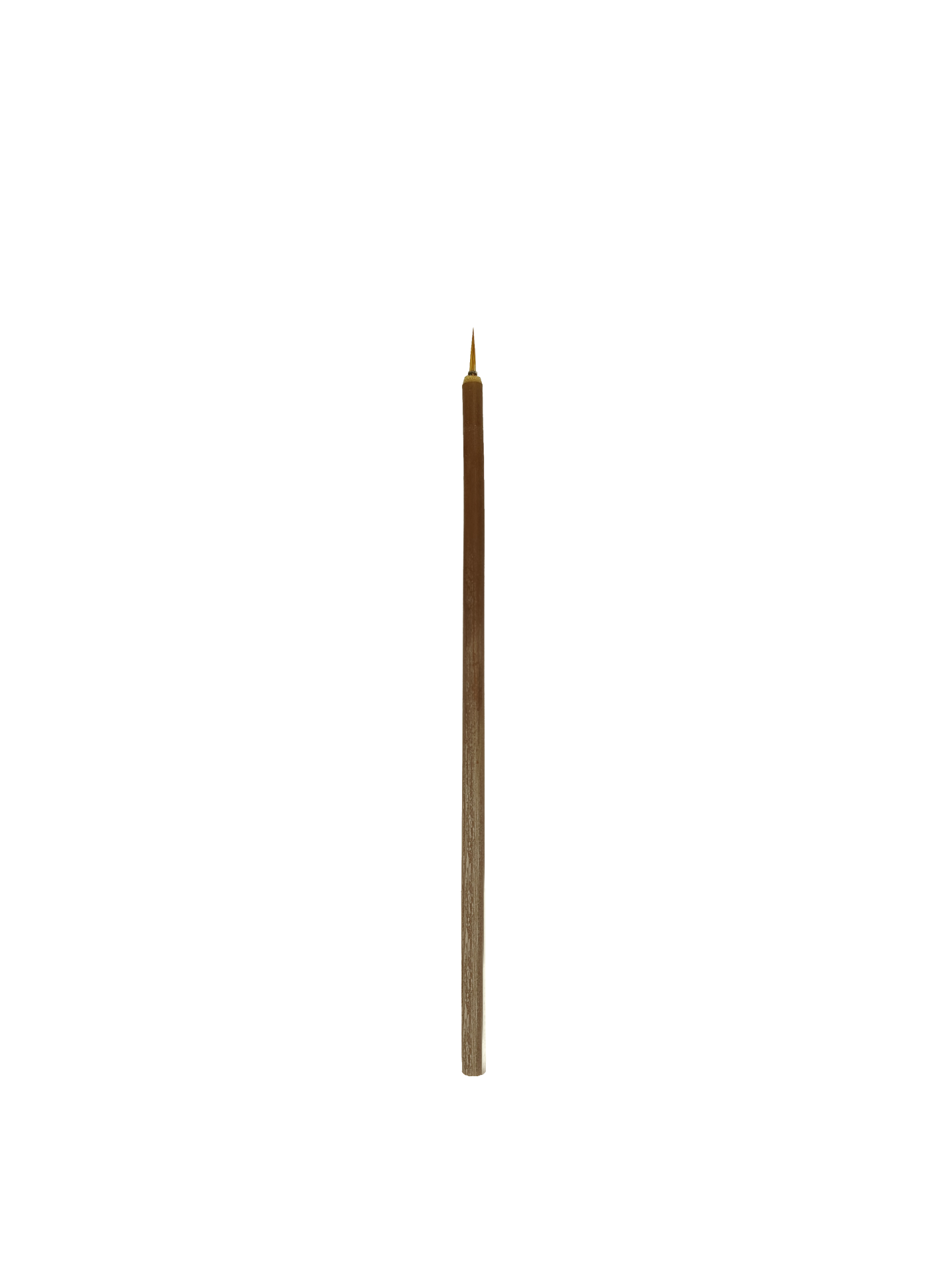Vera Sanat Gelincik Kılı 00 Fırça 11 mm (Kıl Uzunluğu)