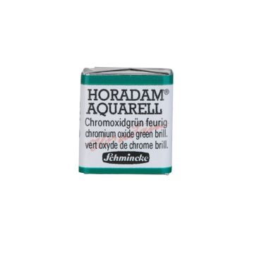 Schmincke Horadam Aquarell Artistik Sulu Boya Yarım Tablet Seri 2 511 chromium oxide green brill.