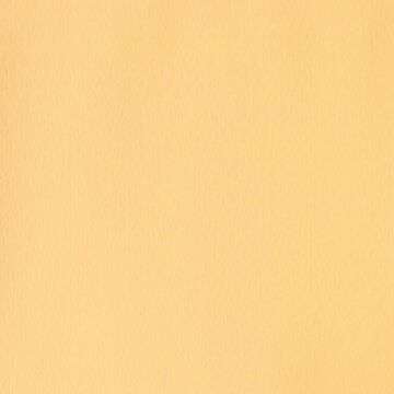 Winsor & Newton 422 naples yellow Designers Guaj Boya 14 ml