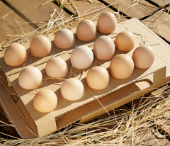 Et-Pi Köy Yumurtası 15li