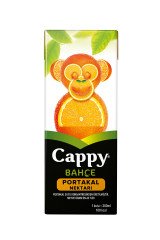 Cappy Tetra 200Ml Portakal