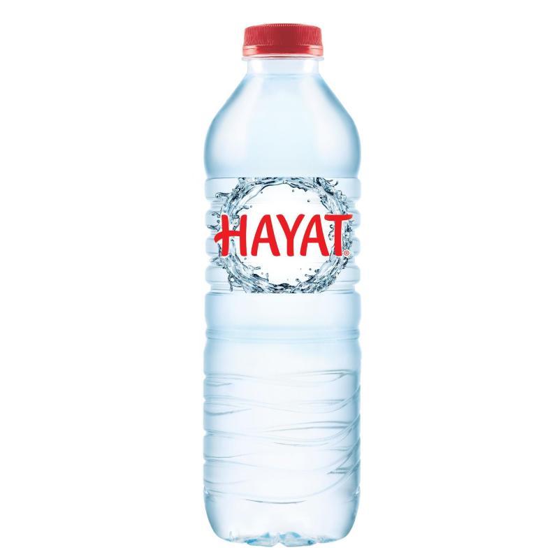 Hayat Su 500 Ml.