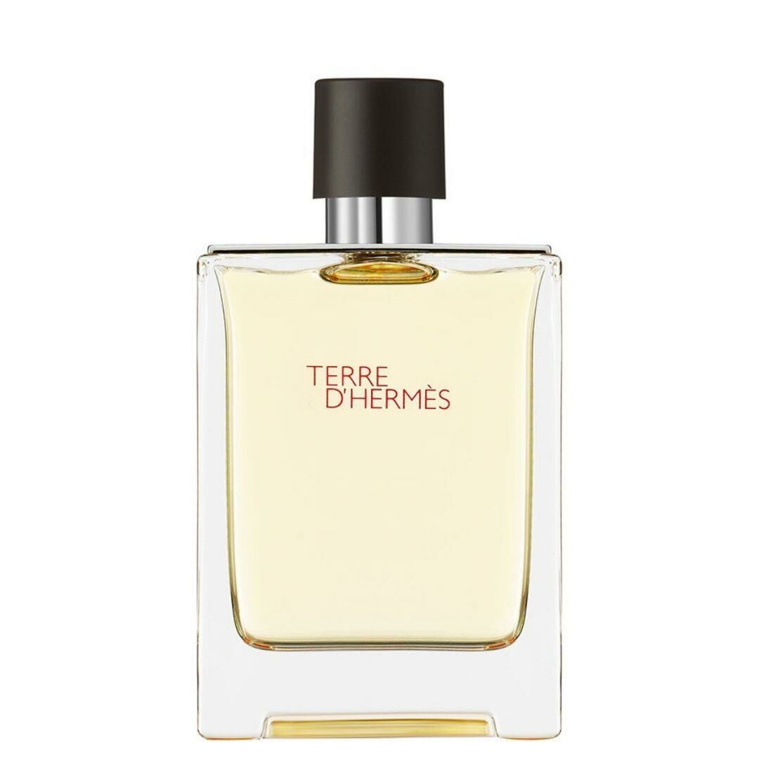 Hermes Terre D'Hermes Edt 100 Ml