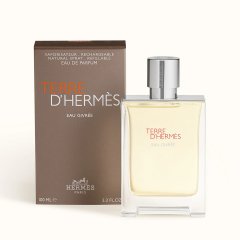 Hermes Terre D'Hermes Eau Givree Edp 100 Ml