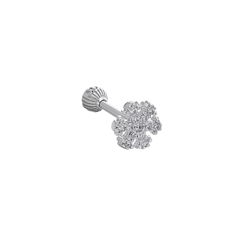 Kar Tanesi Tragus