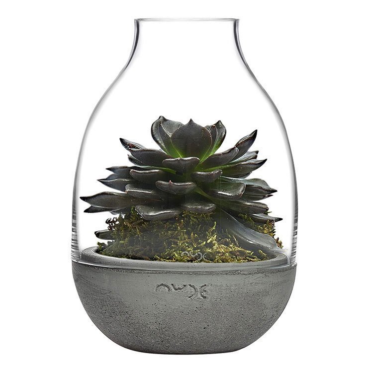 Eden Mini Saksı 232*226 mm