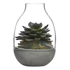 Eden Mini Saksı 232*226 mm