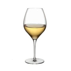 Vinifera Beyaz Şarap Kadehi 365 cc