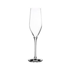 Vinifera Şampanya Kadehi 255 cc