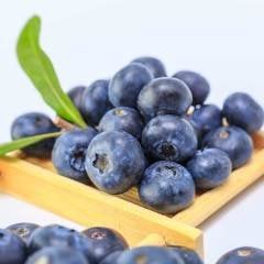 Blueberry Yaban Mersini 250 gr