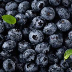 Blueberry Yaban Mersini 250 gr