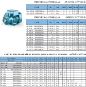 City Pumps IP 3000  Döküm Gövdeli Preferikal Pompa 3 HP - 100 Mss